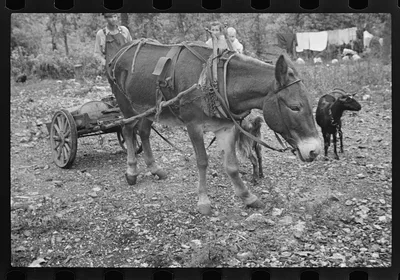 [Untitled photo, possibly related to: Family of Arkansas sharecropper], 1935