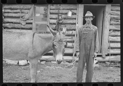 Rehabilitation client, Boone County, Arkansas, 1935