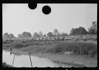 [Untitled photo, possibly related to: Levee workers, Plaquemines…, Louisiana, 1935