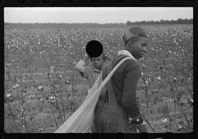 [Untitled photo, possibly related to: Young cotton picker, Pulaski…, Arkansas, 1935