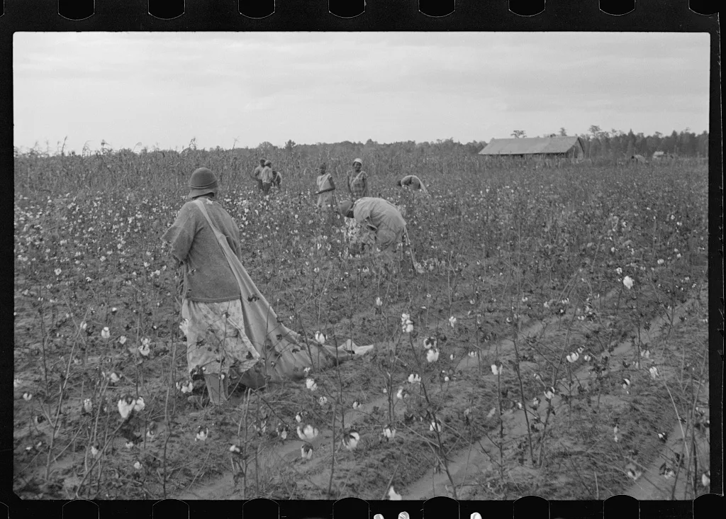 [Untitled photo, possibly related to: Cotton pickers, Pulaski County,…, Arkansas, 1935