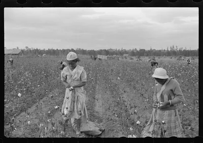 Cotton pickers, Pulaski County, Arkansas, 1935