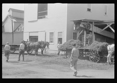 "At a pea vinery," central Ohio. Loading waste to be taken back to…, 1938