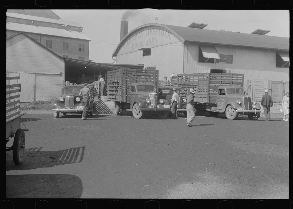 Stock Cooperative Association, central Ohio (see general caption), 1938