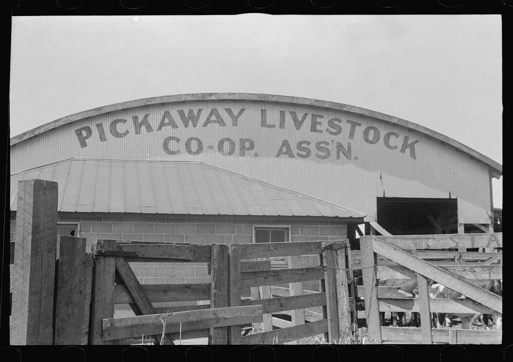 Pens and auction rooms of Pickaway Livestock Cooperative Association,…, Ohio, 1938