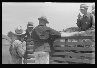 [Untitled photo, possibly related to: At the Pickaway Livestock…, Ohio, 1938