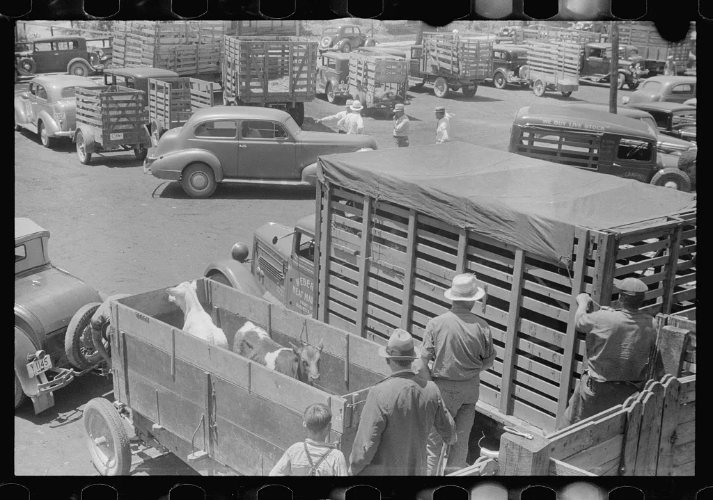 [Untitled photo, possibly related to: At the Pickaway Livestock…, Ohio, 1938