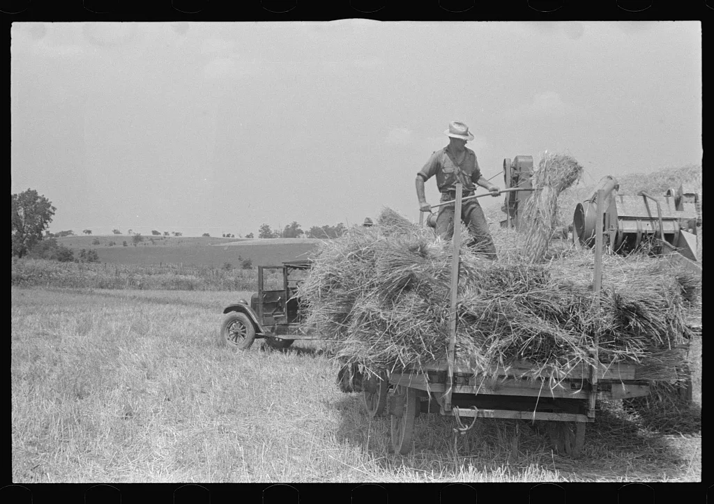 [Untitled photo, possibly related to: Hauling wheat to thresher,…, Ohio, 1938