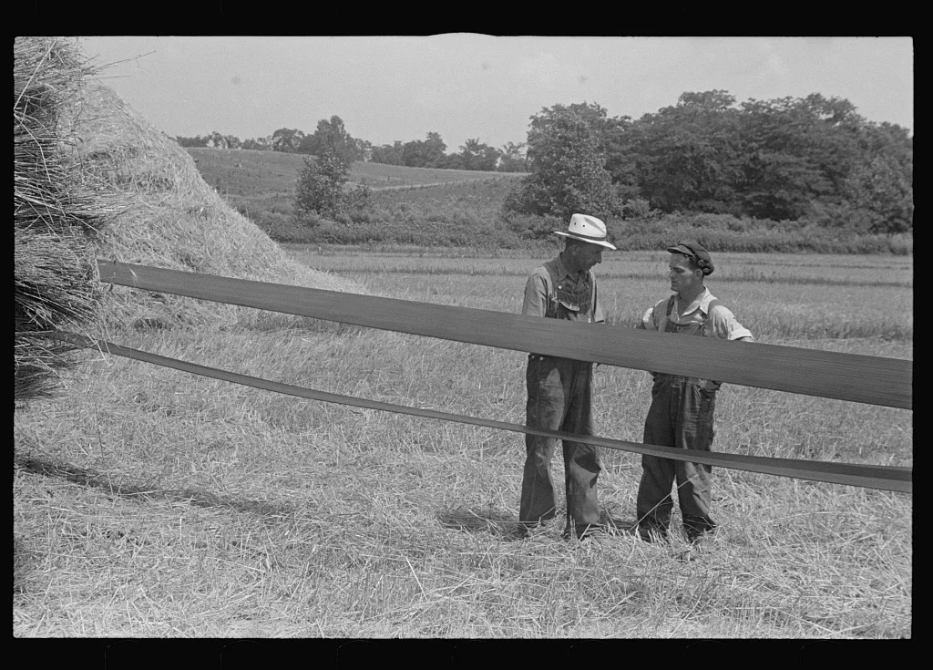 Two members of threshing crew standing by belt which supplies power…, Ohio, 1938