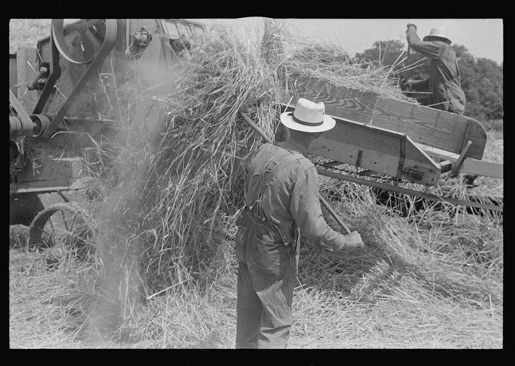 [Untitled photo, possibly related to: Wheat harvest in the field,…, Ohio, 1938
