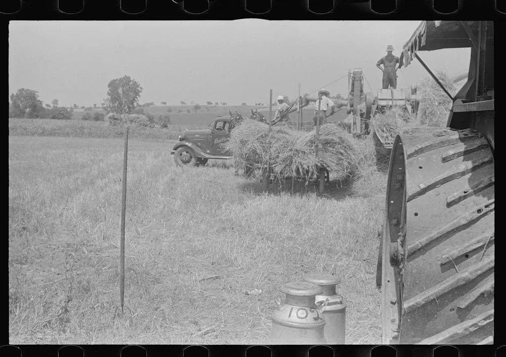[Untitled photo, possibly related to: Filling truck with threshed…, Ohio, 1938
