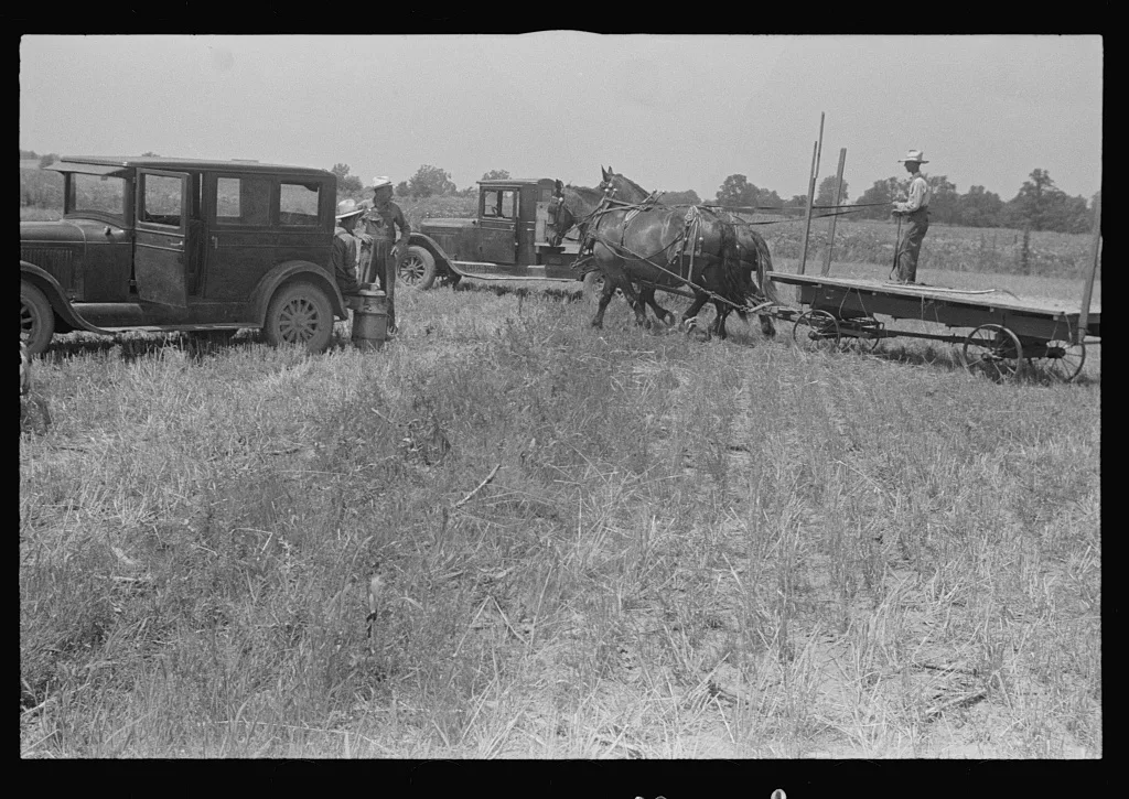 [Untitled photo, possibly related to: Hauling wheat to thresher,…, Ohio, 1938