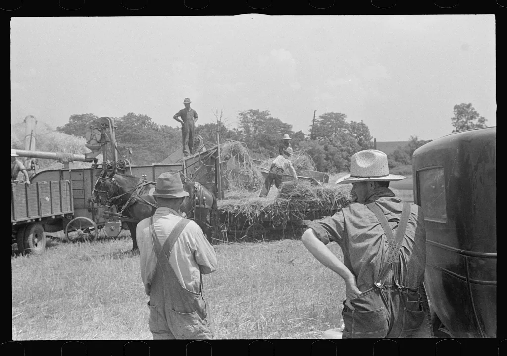 [Untitled photo, possibly related to: Wheat harvest in the field,…, Ohio, 1938