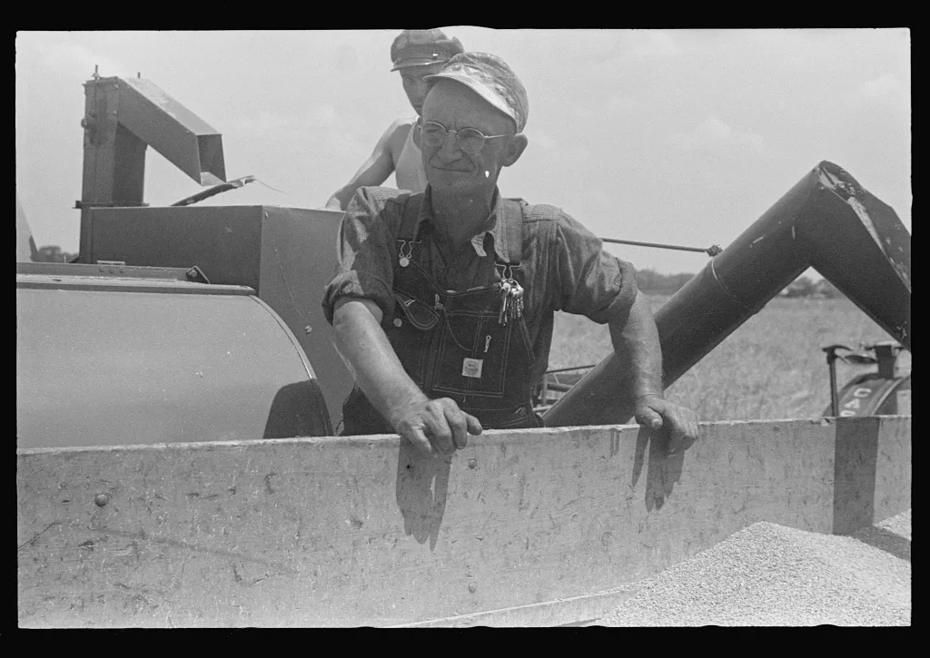 [Untitled photo, possibly related to: Dumping wheat into truck from…, Ohio, 1938