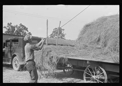 Boy with rope for dumping forkfull of hay on stack, central Ohio, 1938