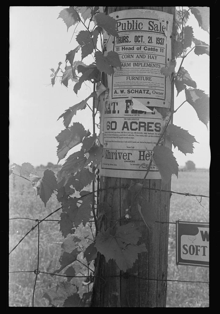 [Untitled photo, possibly related to: Roadside advertising along…, Ohio, 1938