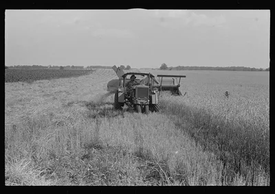 Combining wheat, central Ohio, 1938