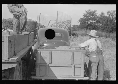 [Untitled photo, possibly related to: Corn in crib, central Ohio], 1938