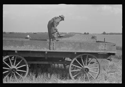 Wagon for hauling threshed wheat from field, central Ohio, 1938