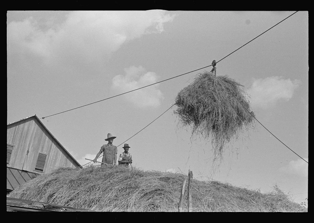 Stacking hay with cable rig and fork, central Ohio, 1938