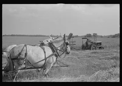 [Untitled photo, possibly related to: Wagon for hauling threshed…, Ohio, 1938