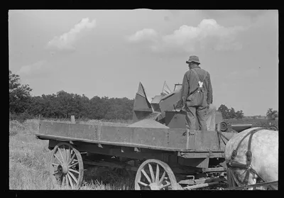 [Untitled photo, possibly related to: Wagon for hauling threshed…, Ohio, 1938
