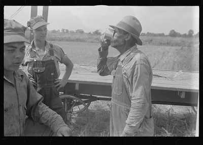 [Untitled photo, possibly related to: Members of threshing crew,…, Ohio, 1938