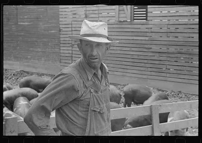 Mr. Virgil Thaxton, farmer, near Mechanicsburg, Ohio, 1938