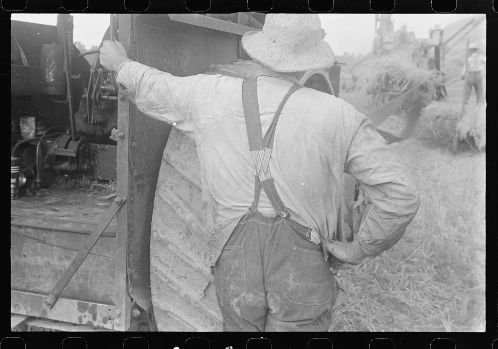 [Untitled photo, possibly related to: Threshing wheat in central Ohio], 1938