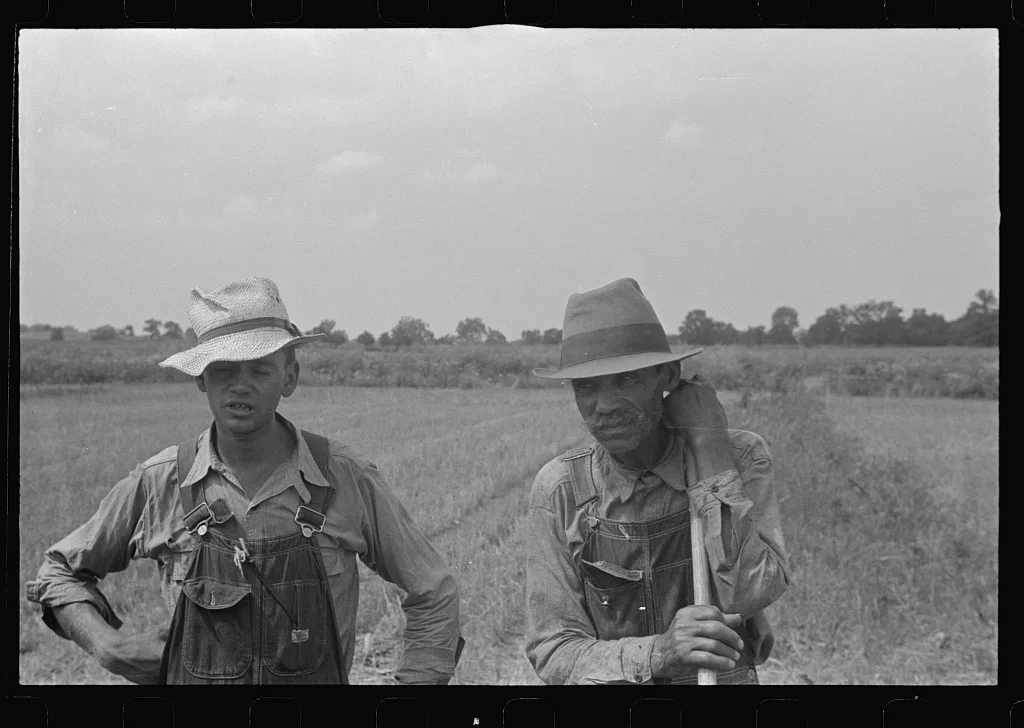 [Untitled photo, possibly related to: Wheat harvest in the field;…, Ohio, 1938