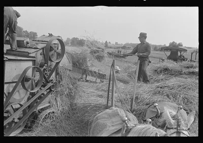 Threshing wheat in central Ohio, 1938