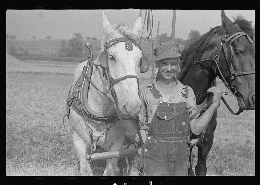 Mechanicsburg (vicinity), Ohio. Harvest hand and helper on the Virgil…, 1938