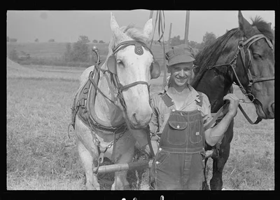 Mechanicsburg (vicinity), Ohio. Harvest hand and helper on the Virgil…, 1938