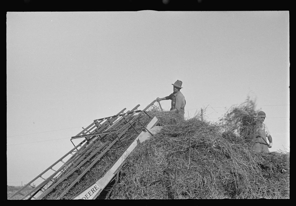 Loading hay, central Ohio, 1938