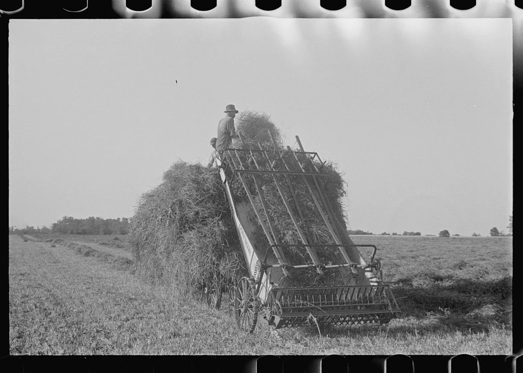 Loading hay from window with hayloader, central Ohio, 1938