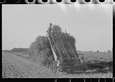 Loading hay from window with hayloader, central Ohio, 1938