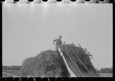 [Untitled photo, possibly related to: Loading hay from window with…, Ohio, 1938