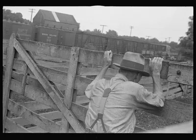 [Untitled photo, possibly related to: Buyers at Pickaway Livestock…, Ohio, 1938