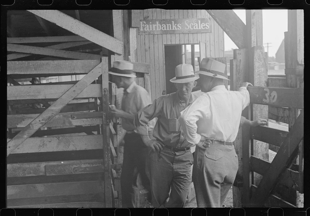 [Untitled photo, possibly related to: Buyers at Pickaway Livestock…, Ohio, 1938