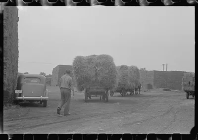 [Untitled photo, possibly related to: Horses on farm during wheat…, Ohio, 1938