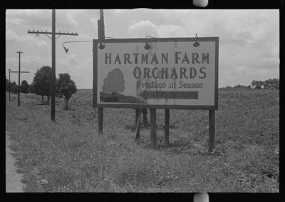 Roadside advertising near Columbus, Ohio, 1938