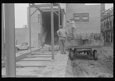 Baled straw to be used for making strawboard at Container Corporation…, Ohio, 1938