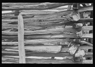 Detail of log fence in central Ohio (see general caption), 1938