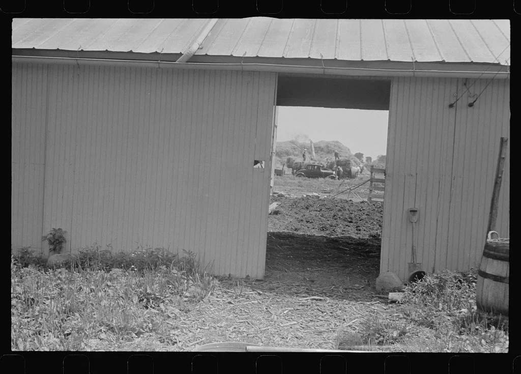 Threshing seen through barn doors, central Ohio, 1938