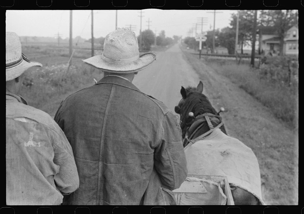 Farmer hauling wheat to elevator, central Ohio, 1938