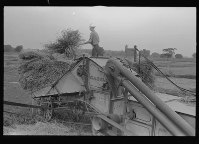 Wheat harvest; in the field feeding the thresher, central Ohio (see…, 1938