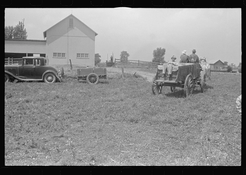 Hauling threshed wheat from the field, central Ohio, 1938