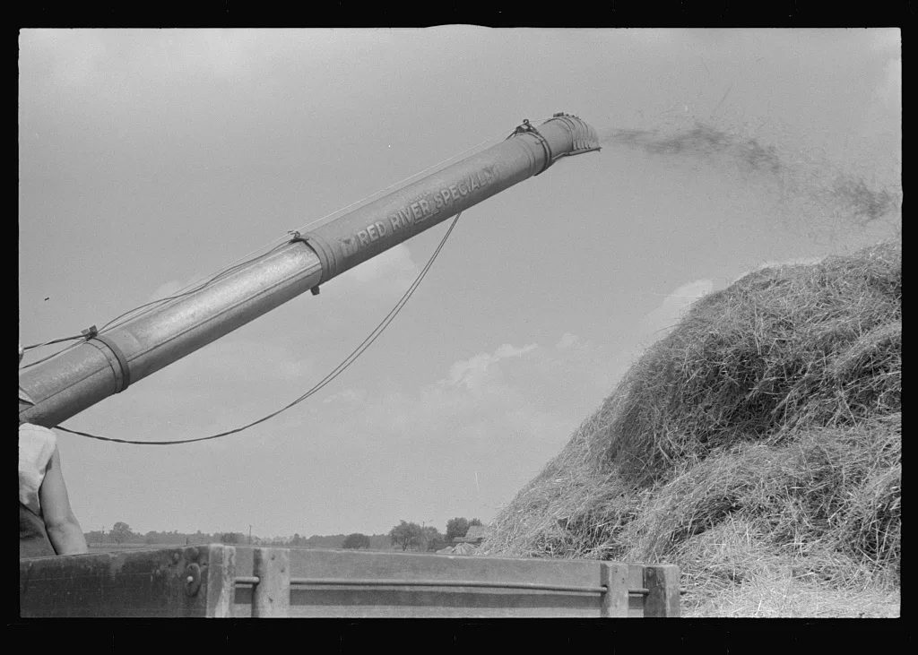 Wheat harvest. In the field, the chaff and the straw. central Ohio. …, 1938