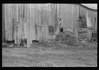 Detail of farm on Route 40 central Ohio (see general caption), 1938