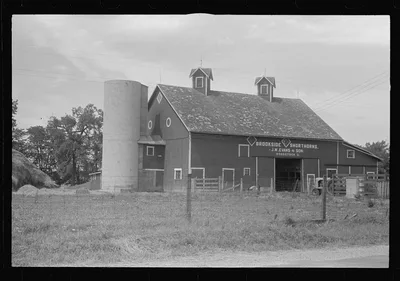 Barn and silo in central Ohio, Woodstock, Ohio (see general caption), 1938